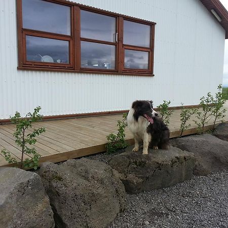 Haukadalur Skalinn Between Gullfoss And Geysir - Myrkholt Farm المظهر الخارجي الصورة