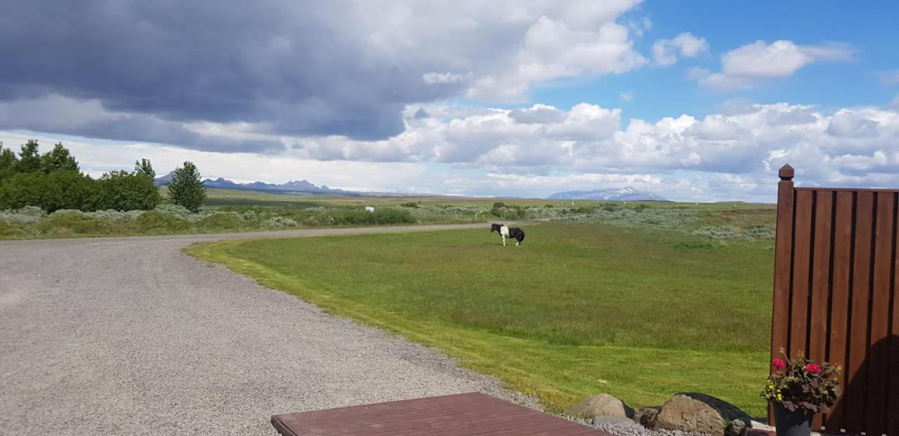 Haukadalur Skalinn Between Gullfoss And Geysir - Myrkholt Farm المظهر الخارجي الصورة