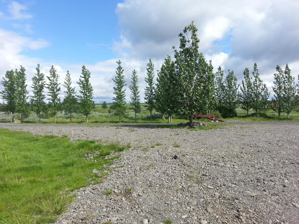 Haukadalur Skalinn Between Gullfoss And Geysir - Myrkholt Farm المظهر الخارجي الصورة