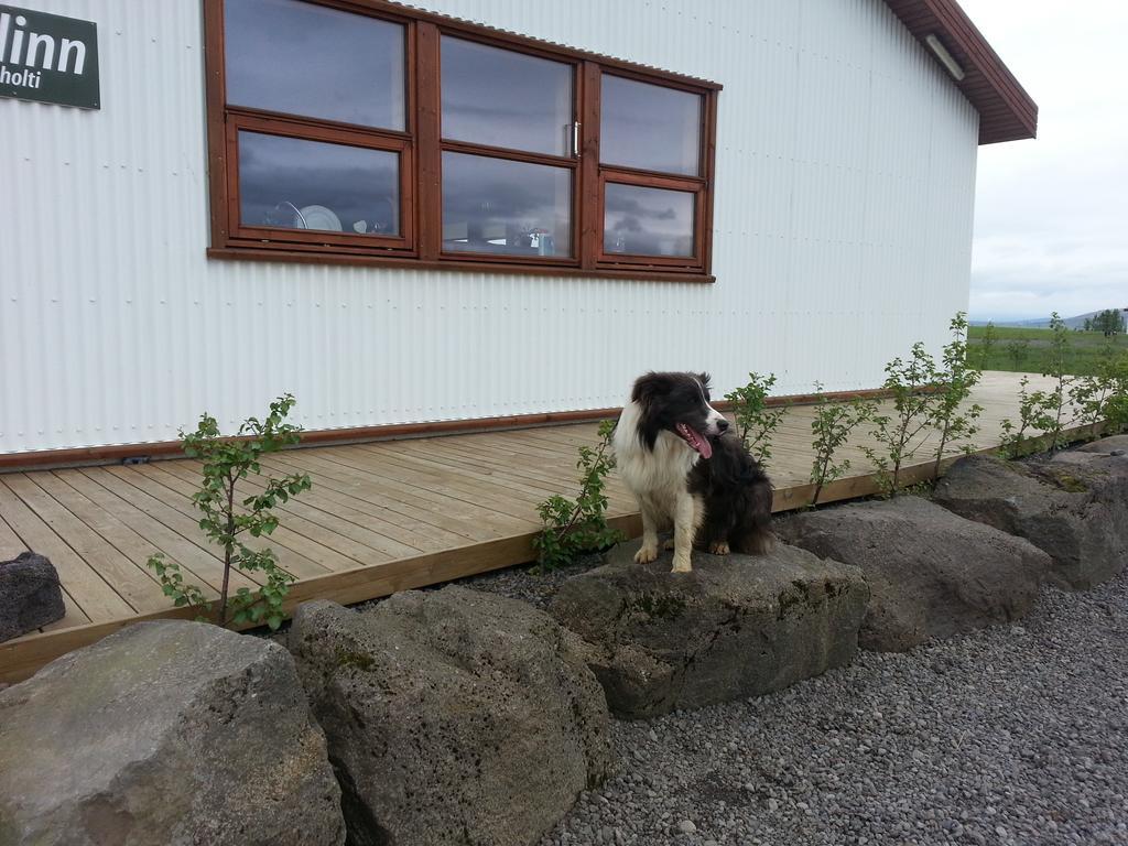Haukadalur Skalinn Between Gullfoss And Geysir - Myrkholt Farm المظهر الخارجي الصورة