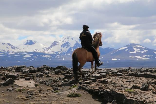 Haukadalur Skalinn Between Gullfoss And Geysir - Myrkholt Farm المظهر الخارجي الصورة