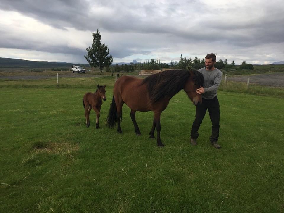 Haukadalur Skalinn Between Gullfoss And Geysir - Myrkholt Farm المظهر الخارجي الصورة