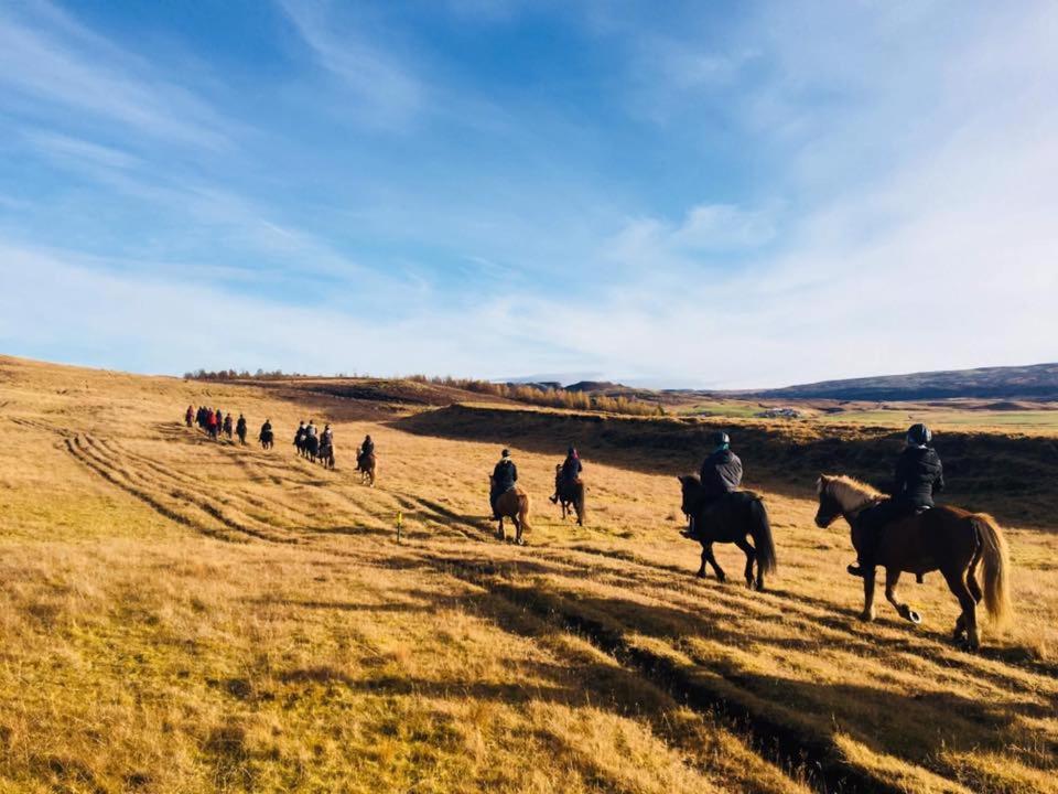 Haukadalur Skalinn Between Gullfoss And Geysir - Myrkholt Farm المظهر الخارجي الصورة